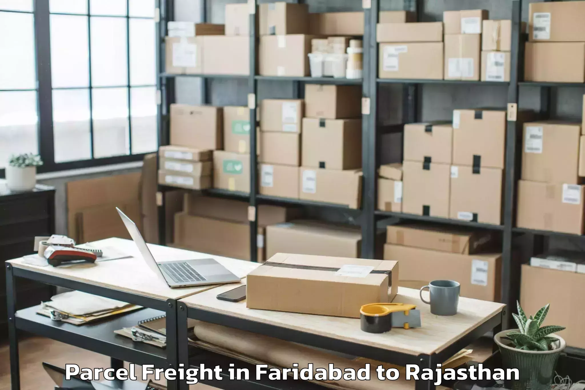 Efficient Faridabad to Nimbahera Parcel Freight